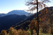 79 Caldi colori autunnali